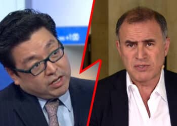 Lee a Roubini