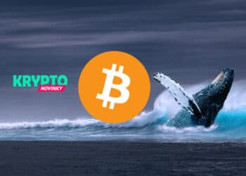 Bitcoin - veľryba