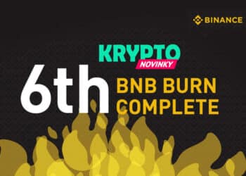 Coin Burn binance