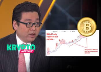 Tom Lee Bitcoin