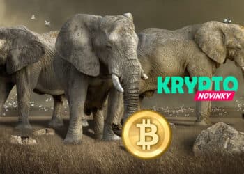 Bitcoin Giganti