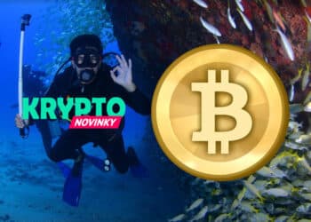 bitcoin-dno
