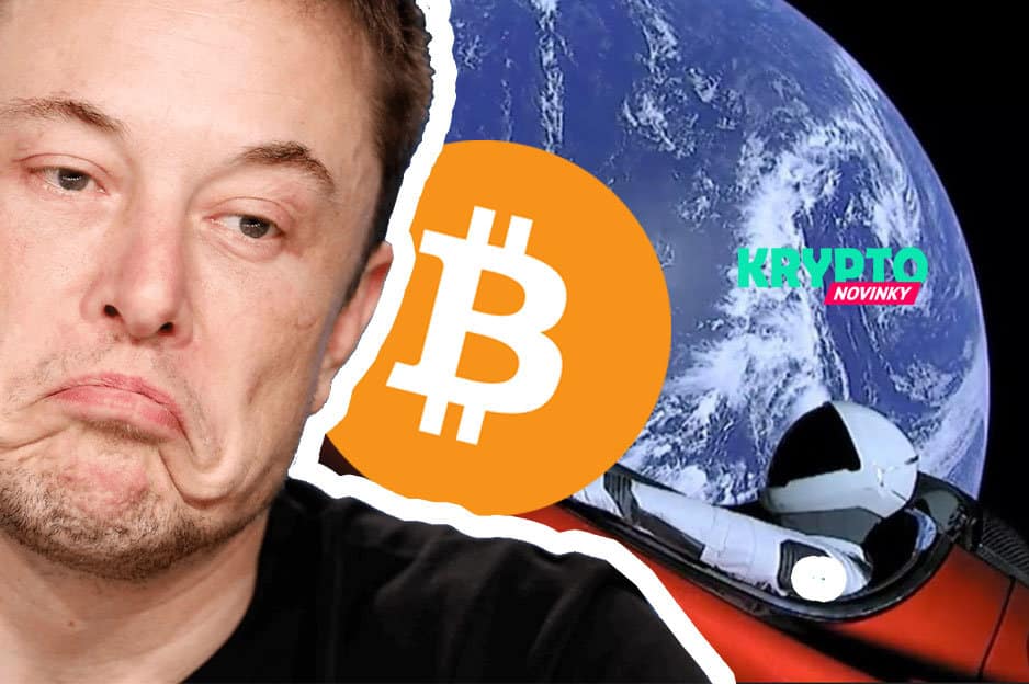 Musk Bitcoin