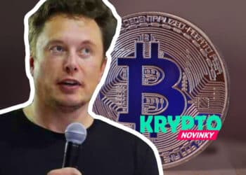 Bitcoin Elon Musk