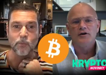Raoul Pal, Mike Novogratz