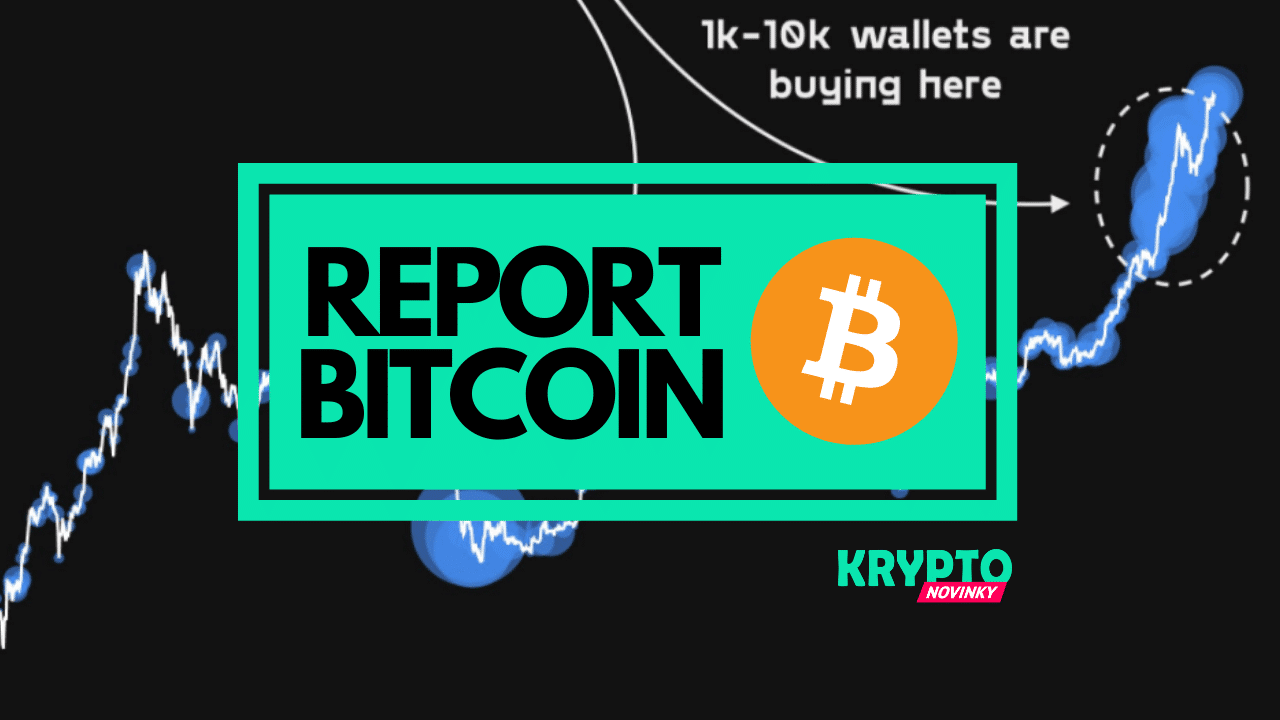 Bitcoin report
