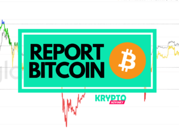 Bitcoin Report
