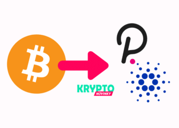 Bitcoin Cardano Polkadot
