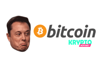 Elon Musk Bitcoin