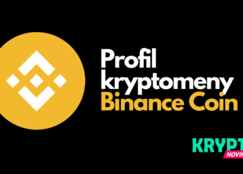Profil Binance Coin BNB