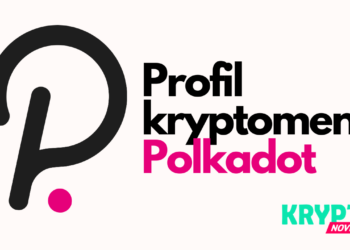 Profil Polkadot DOT