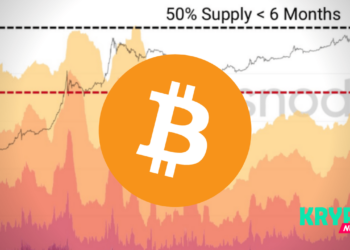 BITCOIN bullrun