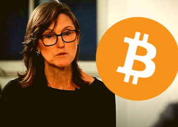 cathie wood bitcoin