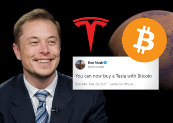 Elon Musk Bitcoin