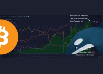 onchain Bitcoin