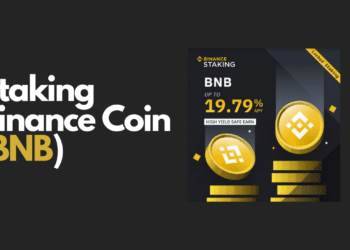 Staking Binance Coin