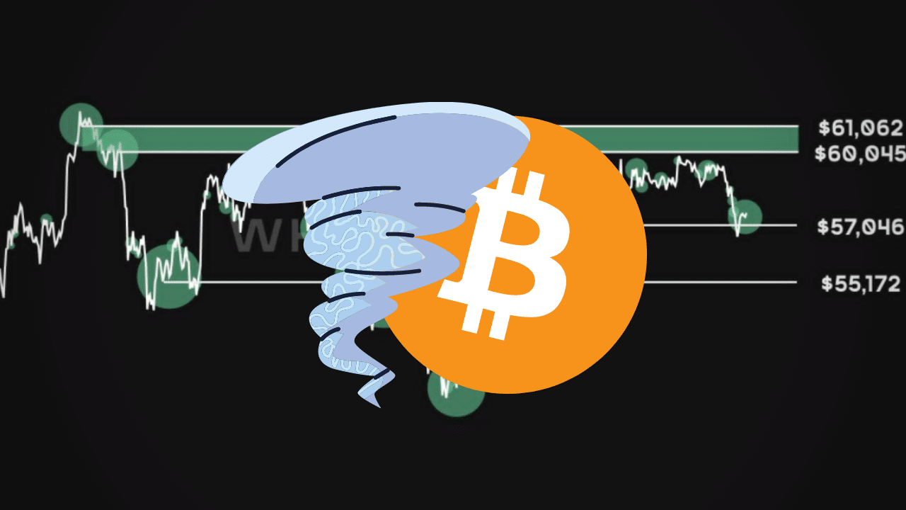 Bitcoin whalepam