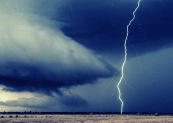 Lightning Network