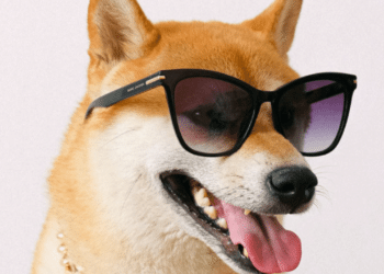 Shiba Inu