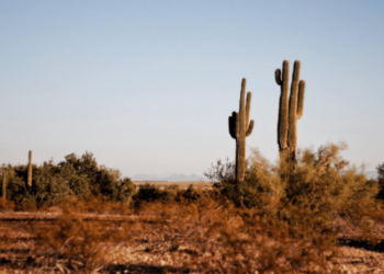 Arizona