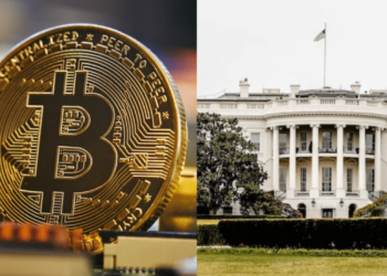 bitcoin biely dom