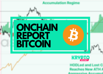 bitcoin onchain report