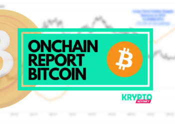 bitcoin onchain report (6)