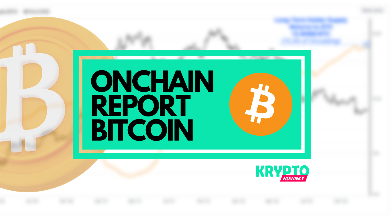 bitcoin onchain report (6)