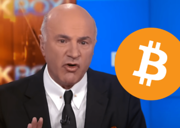 oleary btc