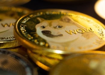 Čo ak padne Dogecoin? Meme coinoví investori vraj sledujú tieto dva tokeny
