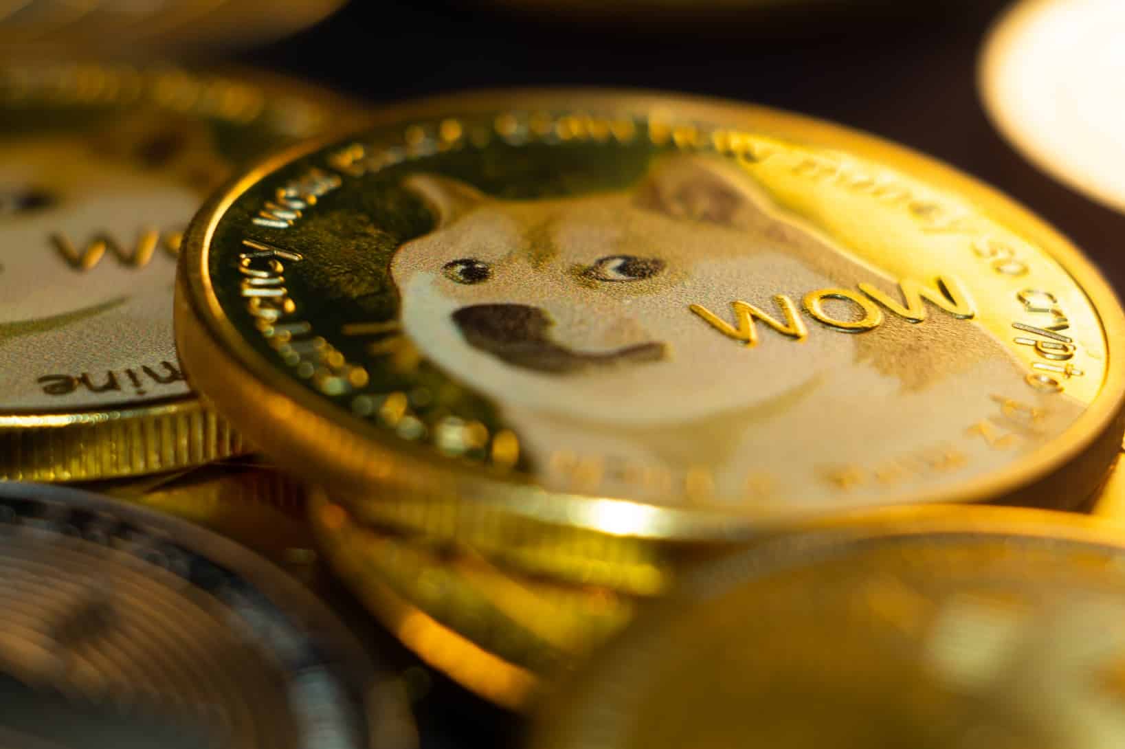 a closeup shot of a pile of cryptocurrency cash golden dogcoins with wow