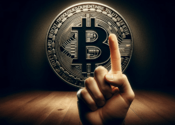 bitcoin-kritika
