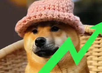Memecoiny dogwithat