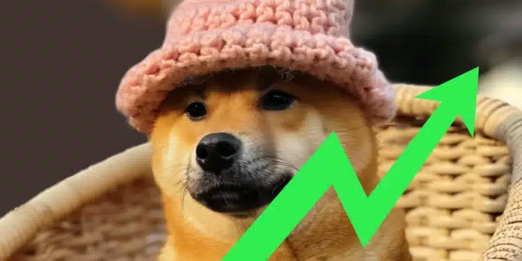 Memecoiny dogwithat