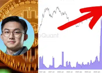 Ki Young Ju a BTC akumulácia