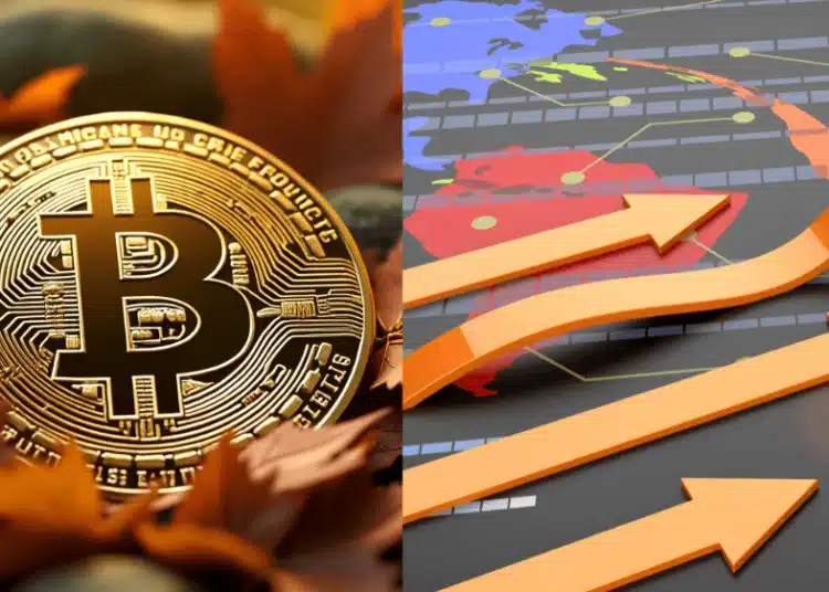 Bitcoin graf