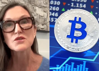 Cathie Wood a Bitcoin