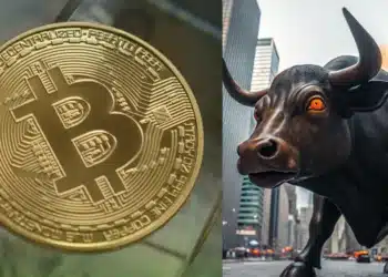 Bitcoin a býk