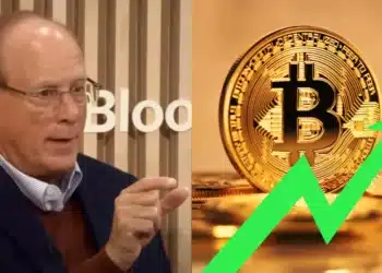 Larry Fink a Bitcoin
