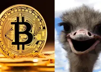 Bitcoin nálada