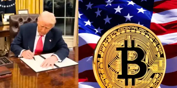 Trump Bitcoin