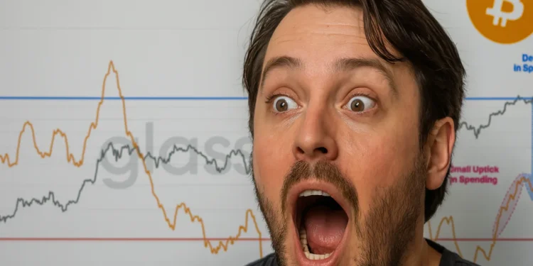 Bitcoiner graf