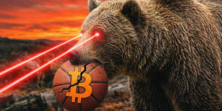 Medveď Bitcoin