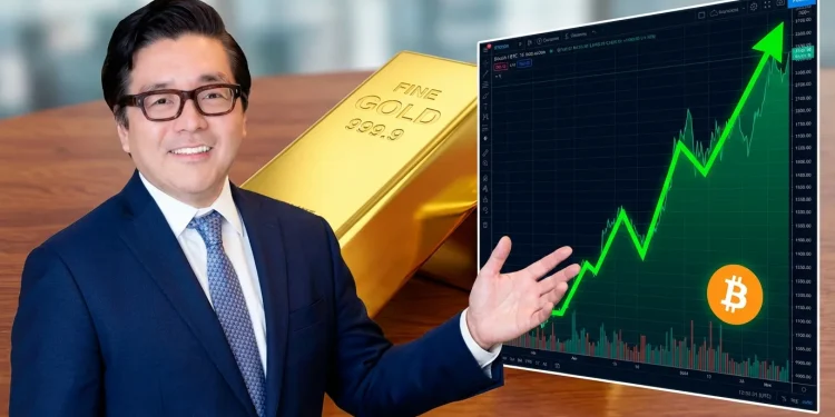 Tom Lee Bitcoin Zlato