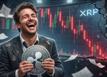 Xrp Investor