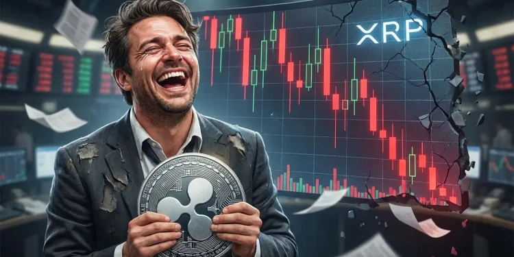 Xrp Investor