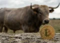 Bitcoin Byk