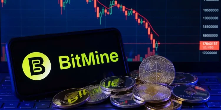 BitMine Ethereum Pokles